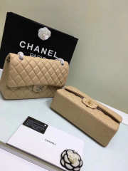 Chanel Flap Apricot Bag With Silver or gold Hardware 30cm - 2