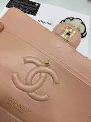 Chanel Double Flap Pink Bag with Silver or Glod Hardware 25cm - 6