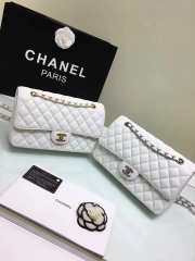 Chanel Double Flap White Bag with Silver or Glod Hardware 25cm - 1