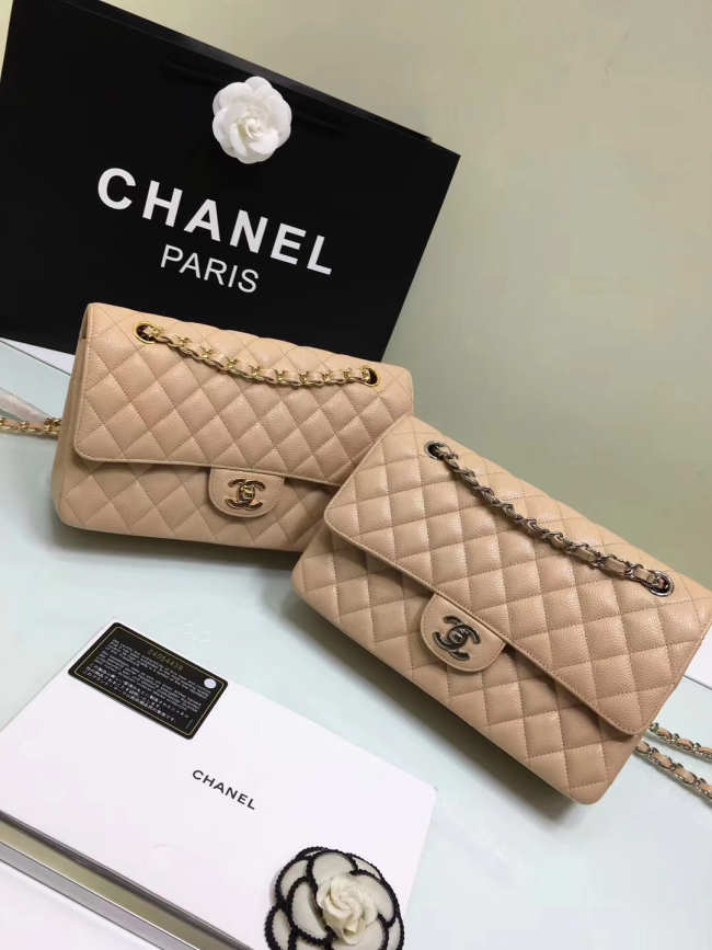 Chanel Double Flap Nude Bag with Silver or Glod Hardware 25cm - 1