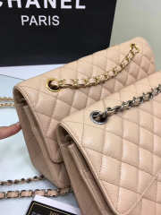 Chanel Double Flap Nude Bag with Silver or Glod Hardware 25cm - 2