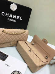 Chanel Double Flap Nude Bag with Silver or Glod Hardware 25cm - 5