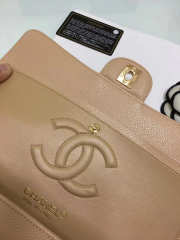 Chanel Double Flap Nude Bag with Silver or Glod Hardware 25cm - 6