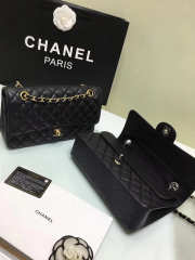 Chanel Double Flap Black Bag with Silver or Glod Hardware 25cm - 3