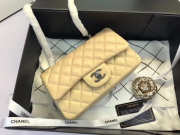 Chanel Flap Bag Lambskin Apricot with Silver Hardware 20CM - 5