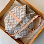 Louis Vuitton SPEEDY BANDOULIERE Small Bag 25cm - 5