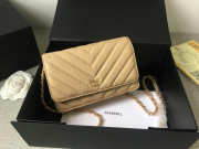 Chanel WOC Bag Calfskin Leather Apricot with Gold Hardware - 1