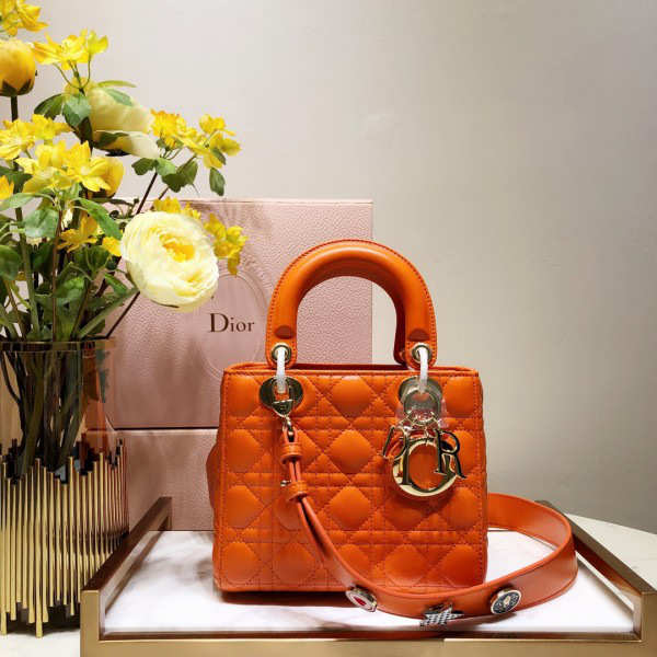 Dior Lady Dior Leather Orange Handbag - 1