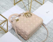 Dior Lady Dior Leather Light Pink Handbag With Gold Hardware - 1