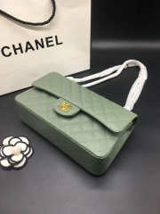 Chanel Flap Bag Caviar in Light Green 25cm with Gold Hardware - 6