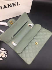 Chanel Flap Bag Caviar in Light Green 25cm with Gold Hardware - 5