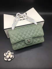 Chanel Flap Bag Caviar in Light Green 25cm with Silver Hardware - 2