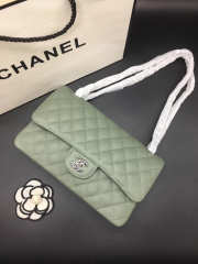 Chanel Flap Bag Caviar in Light Green 25cm with Silver Hardware - 6