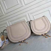 Chloe original calfskin crossbody saddle bag in Beige - 1