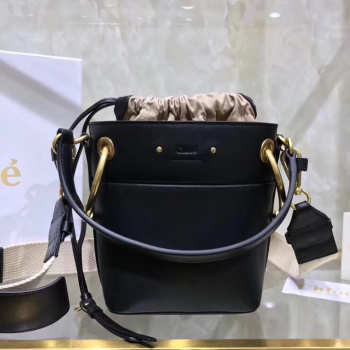 Chloe mini roy bucket bag in Black