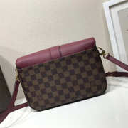 Louis Vuitton Damier Ebene Cuir Taurillon Bag Wine Red - 6