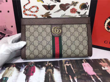 Gucci PVC Leather women bag 493677 Brown