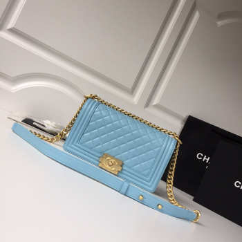 Chanel Leboy lambskin Bag in Blue With Gold Hardware 67086