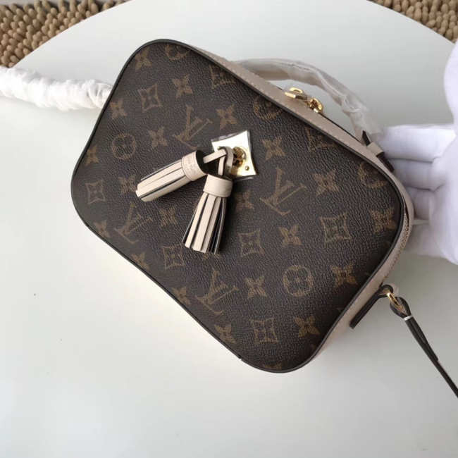 Louis Vuitton Monogram Saintonge Beige Handbag M43559 Bagsaa - 1