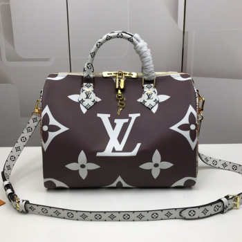 Louis Vuitton Monogram Speedy Handbag 30cm 40391