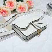 Dior Saddle Waistband Saddle white bag 17cm - 4