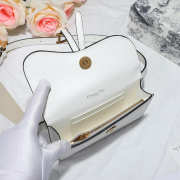 Dior Saddle Waistband Saddle white bag 17cm - 5