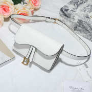 Dior Saddle Waistband Saddle white bag 17cm - 6