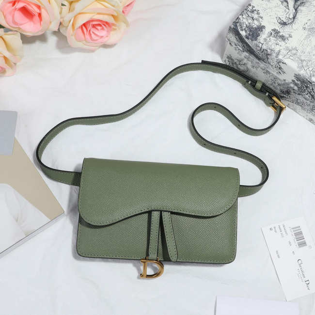 Dior Saddle Waistband Saddle green bag 17cm - 1