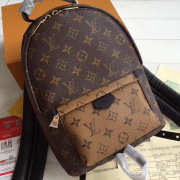 Louis Vuitton Monogram PM Palm Springs Backpack M43116 - 2