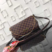 Louis Vuitton Favorite MM Monogram Bag M40718 - 2