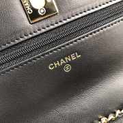 Chanel Lamb skin V-type chain Bag Balck bagsaa - 2