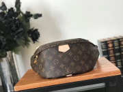 Louis Vuitton Bumbag Monogram Bag M43644 Bagsaa - 1