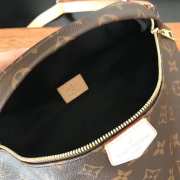 Louis Vuitton Bumbag Monogram Bag M43644 Bagsaa - 5