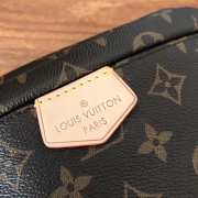 Louis Vuitton Bumbag Monogram Bag M43644 Bagsaa - 4