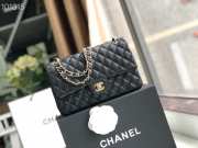 Chanel Flap Bag 25cm Black Gold Hardware Bagsaa - 1