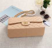 Chanel Flap Bag 1113 30cm Cavier Apricot Gold Hardware - 2