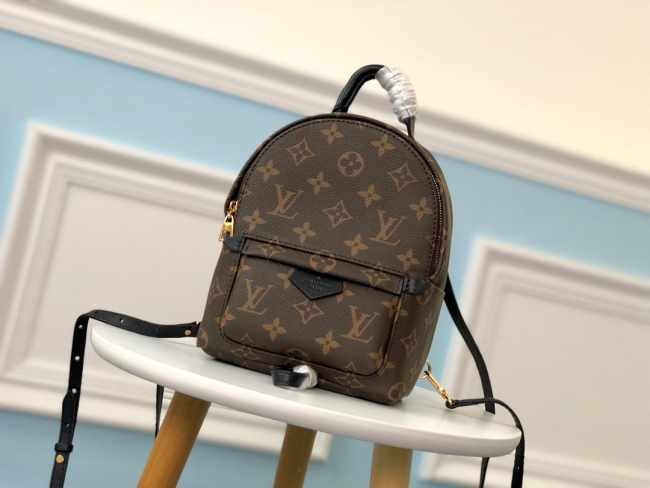 Louis Vuitton Palm Springs Mini Backpack M41562 - 1