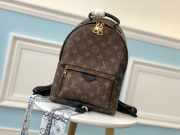 Louis Vuitton Monogram Palm Springs Backpack M41560 - 1