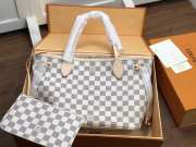 Louis Vuitton Neverfull PM - 1