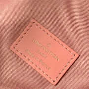 Louis Vuitton Bumbag Bag Pink - 2