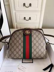 Gucci Ophidia GG small shoulder bag - 1