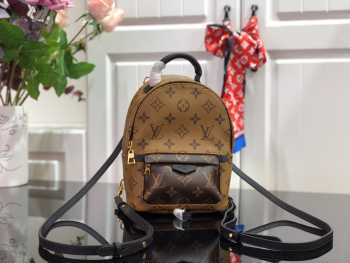 Louis Vuitton Palm Springs Mini backpack M42411