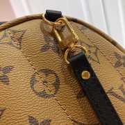 Louis Vuitton Palm Springs Mini backpack M42411 - 5