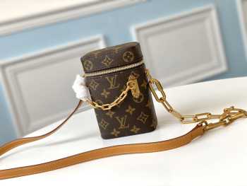 Louis Vuitton Monogram Phone Box Bag