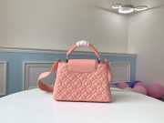 LV Capucines Small handbag M55534 - 5