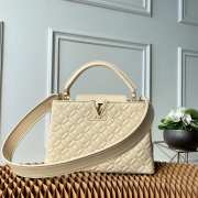 LV Capucines Monogram handbag 31CM - 1