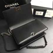 Chanel Leboy Lambskin 28cm silver hardware - 5