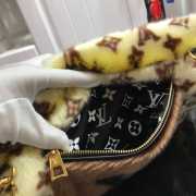 Louis Vuitton Monogram Mink M76094 - 2