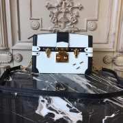 Louis Vuitton Trunk Clutch - 1