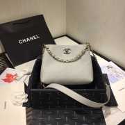 Chanel Hobo Bag AS1461 Gray - 1